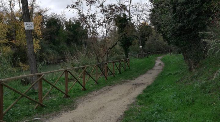 Verde Urbano, solito scaricabarile dell’amministrazione Lungarotti