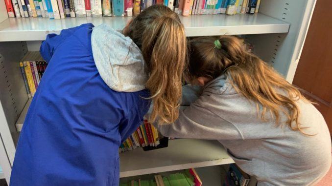 Nel progetto #Gemma, sapere prezioso, appuntamenti gratuiti in biblioteca