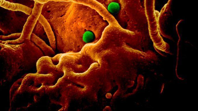 Coronavirus, umbri zone rosse non rientrare a casa
