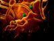 Coronavirus, umbri zone rosse non rientrare a casa