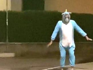 Effetto quarantena, in via Veneto, a Bastia Umbra, c'è l'Unicorno Celeste