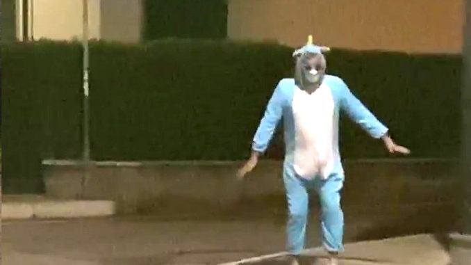 Effetto quarantena, in via Veneto, a Bastia Umbra, c'è l'Unicorno Celeste