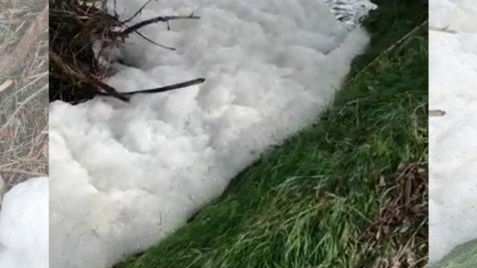 Schiuma sospetta sul fiume Chiascio, tra Bastia e Petrignano, indagini in corso