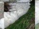 Schiuma sospetta sul fiume Chiascio, tra Bastia e Petrignano, indagini in corso