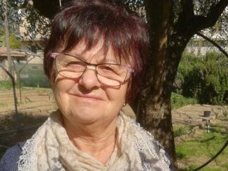 Albo delle Associazioni, costituita la Consulta del Sociale a Bastia