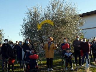 Fai gli auguri alla Città, di Bastia Umbra, con Un Natale di Luce