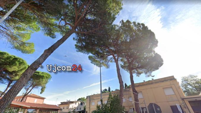 Considerazioni su abbattimento pini Via S. Francesco e Via Roma