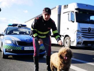 Ospedalicchio cagnolina salvata dalla polizia stradale