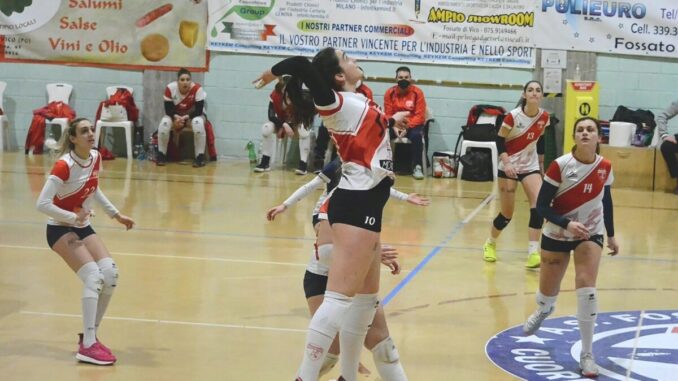 Alessia Patasce, 185 cm, è la nuova schiacciatrice del Monza