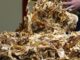 Centro di primo stoccaggio del tabacco, è  Philip Morris Italia