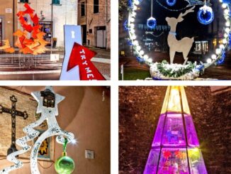 Al via la sesta edizione del Concorso Alberi Artistici