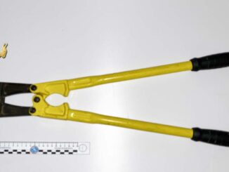 Sorvegliato speciale arrestato a Bastia aveva una tronchese in auto