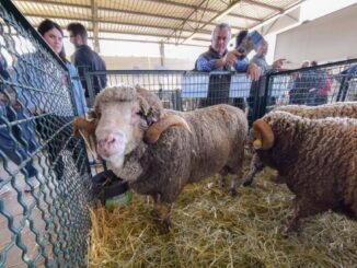 Agriumbria 2024: nuovi spazi e aumenta il numero delle aziende