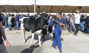 Agriumbria, la casa dell'agricoltura italiana, si archivia un'edizione importante