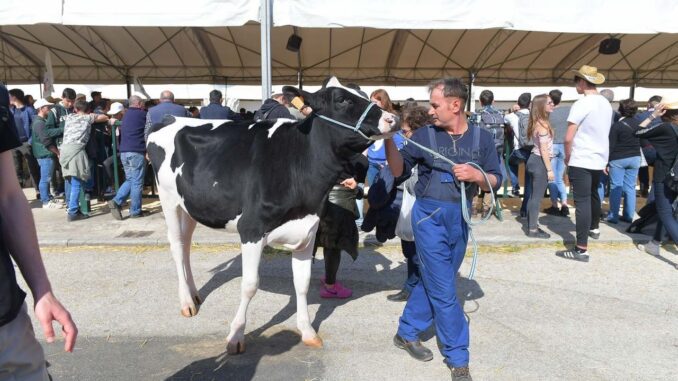 Agriumbria, la casa dell'agricoltura italiana, si archivia un'edizione importante