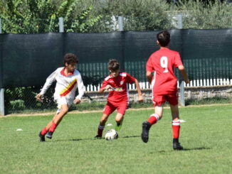 Trofeo Bastia Spring Cup, stagione Tornei di fine Stagione
