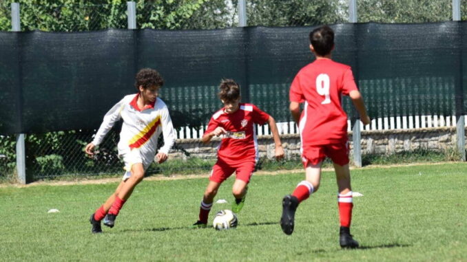 Trofeo Bastia Spring Cup, stagione Tornei di fine Stagione