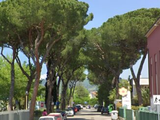 La storia dei pini a Bastia Umbra, interviene Forza Italia