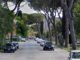 Salviamo i pini, parte raccolta firme, gazebi a Bastia Umbra