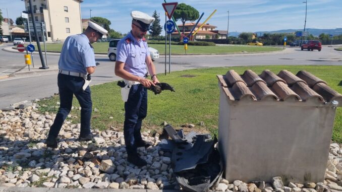 Distruggono due rotatorie, in un incidente stradale a Bastia Umbra, identificati e sanzionati gli autori