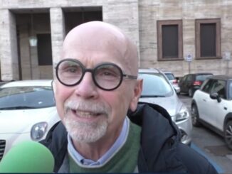 Nessun reimpianto può restituire il beneficio degli alberi abbattuti