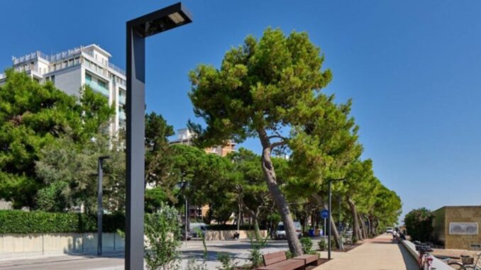 Preservare i pini, a Lignano Sabbiadoro sanno come fare a Bastia no