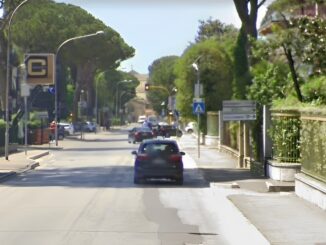 Le caratteristiche della vegetazione di Bastia Umbria