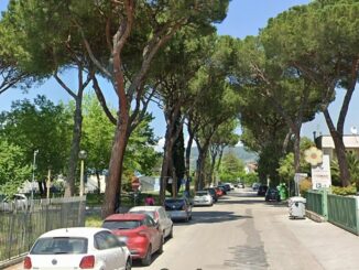 Manifestazione Salviamo i Pini 16 settembre Centro San Michele