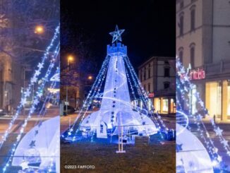 Il Rione Portella vince la settima edizione del Concorso Alberi Artistici