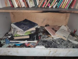 Ricostruzione Little Free Library, atto di solidarietà e resilienza