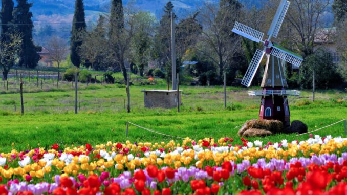 Tutto pronto per la terza edizione del Tulipark Spoleto