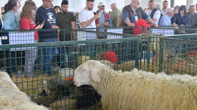 Agriumbria 2024, successo affari e festa popolare settore agricolo