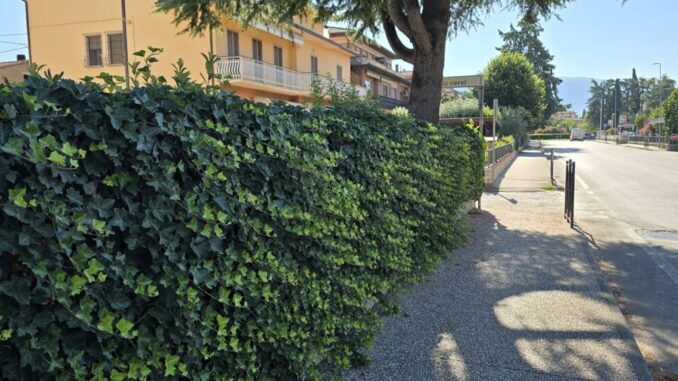Anziana truffata nel giardino di casa da una giovane ben vestita