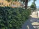Anziana truffata nel giardino di casa da una giovane ben vestita
