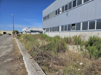 Aree verdi abbandonate aumenta rischio incendi e infestazioni