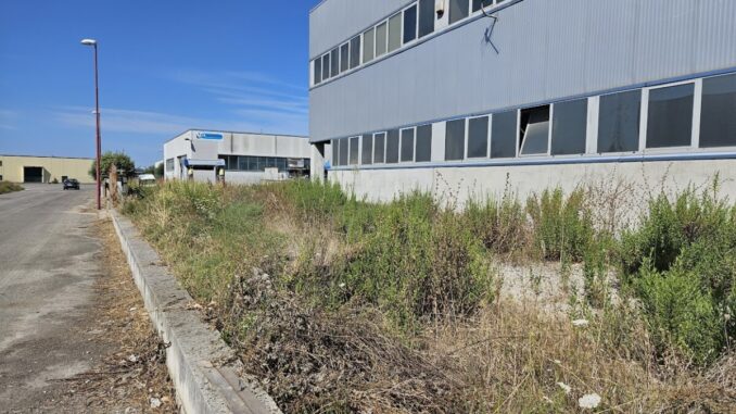 Aree verdi abbandonate aumenta rischio incendi e infestazioni