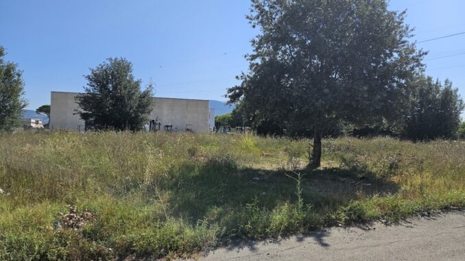 Aree verdi abbandonate aumenta rischio incendi e infestazioni