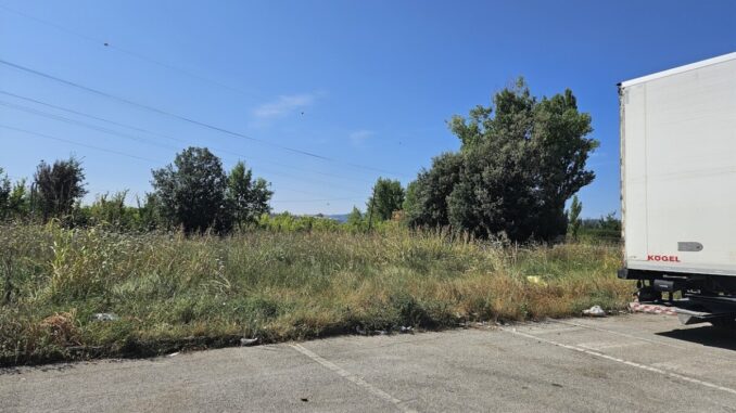 Aree verdi abbandonate aumenta rischio incendi e infestazioni
