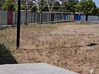 Mozione per salvare l'area verde della scuola XXV Aprile