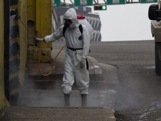 Interventi di disinfestazione e derattizzazione a Bastia Umbra