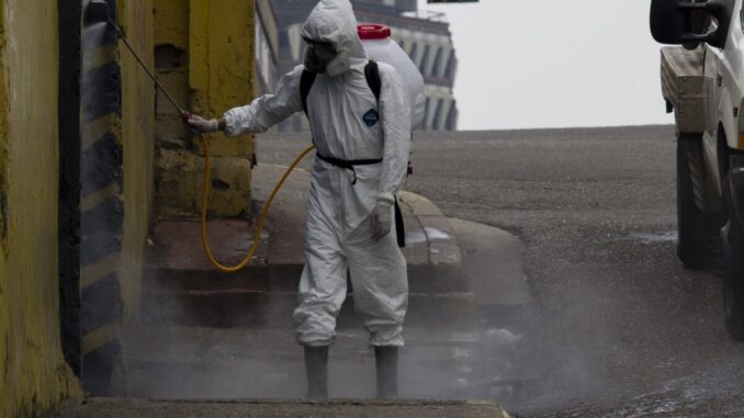 Interventi di disinfestazione e derattizzazione a Bastia Umbra