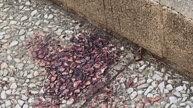 Ottantenne aggredito nella notte a Bastia, è grave ma stabile