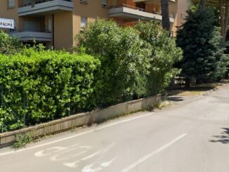 Richiesta al sindaco Pecci per risolvere problemi su Via Olaf Palme
