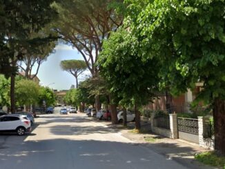 Vicenda pini bastia: una sfida tra sicurezza e ambiente