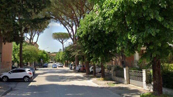 Vicenda pini bastia: una sfida tra sicurezza e ambiente