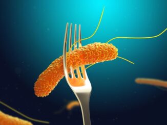 Casi di Salmonella a Bastia Umbra: Aggiornamenti e Misure