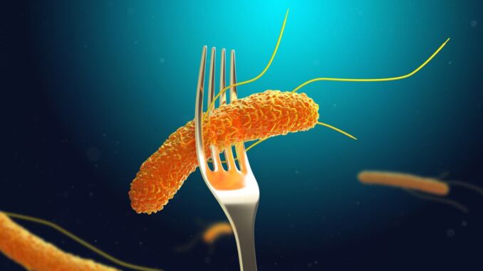 Casi di Salmonella a Bastia Umbra: Aggiornamenti e Misure