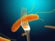 Casi di Salmonella a Bastia Umbra: Aggiornamenti e Misure