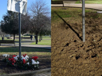 Giardini Tina Anselmi vandalizzati, danni ai ciclamini 