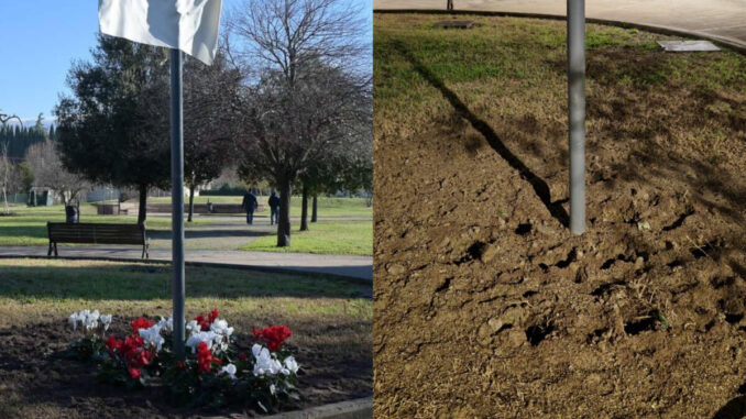 Giardini Tina Anselmi vandalizzati, danni ai ciclamini 